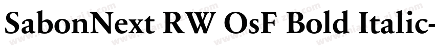 SabonNext RW OsF Bold Italic字体转换